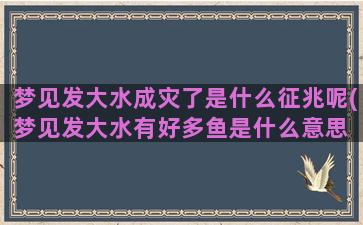 梦见发大水成灾了是什么征兆呢(梦见发大水有好多鱼是什么意思 周公解梦)